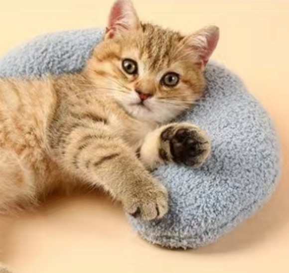 Kitten/CAT KIT NWT + 1st Aid book - Picture 1 of 6